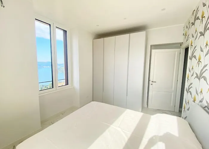 Nova In - מולטראזיו